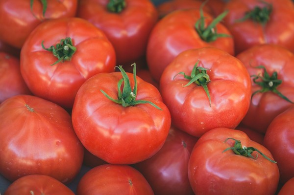 Nawożenie i polecane preparaty w uprawie pomidorów